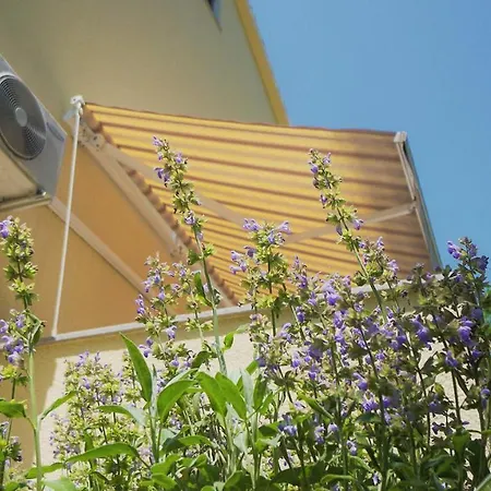 Appartamento With Parking Space - 16495